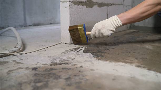 Crawl space vapor barrier installation in Nunda, NY